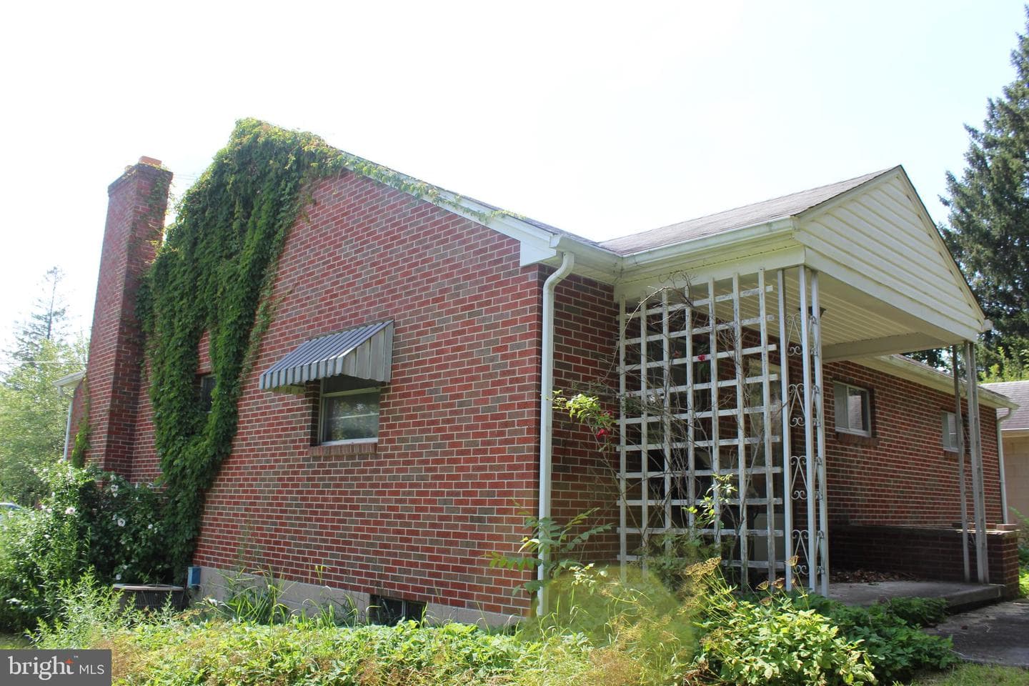 53 Stoyer Street photo 7