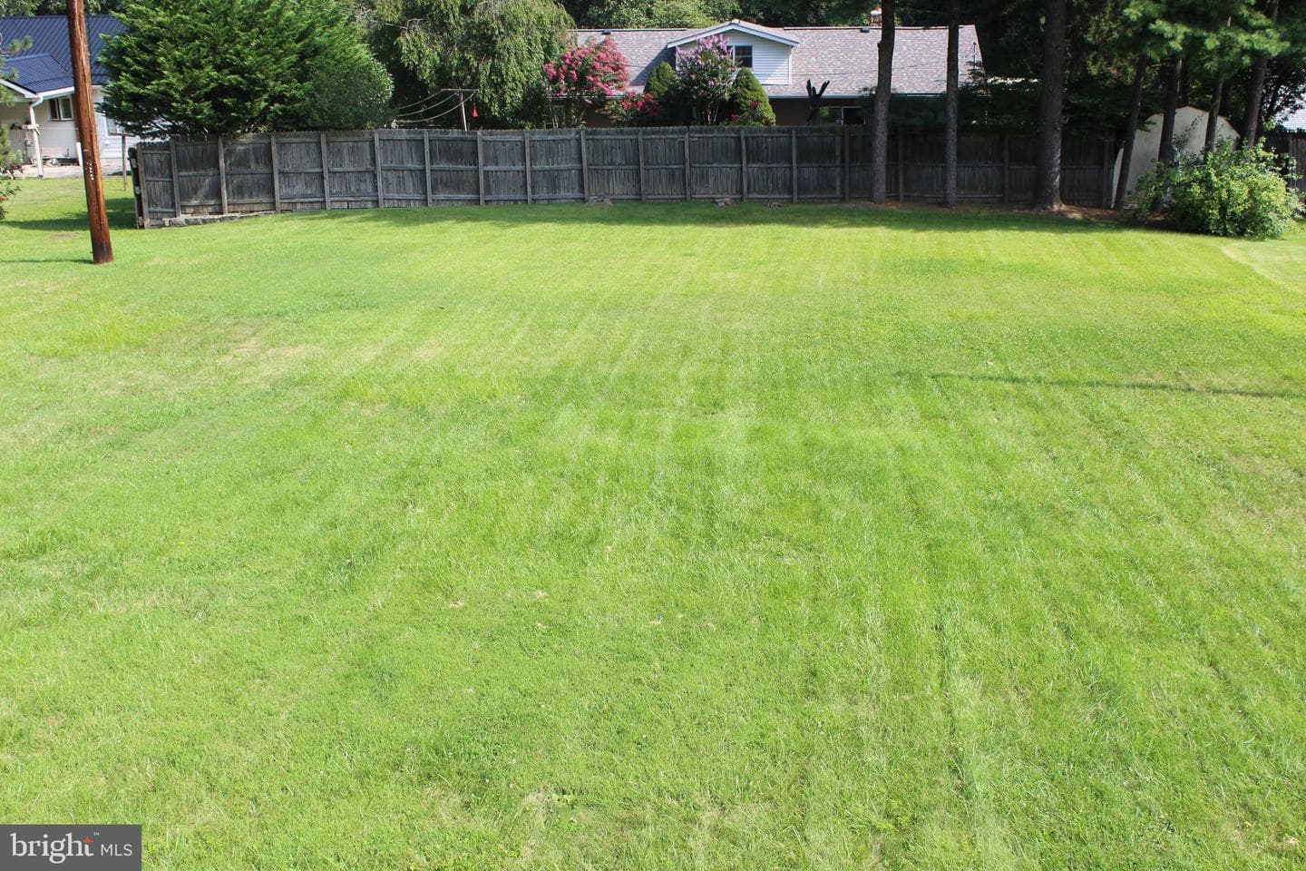 17 Richard Way photo 14