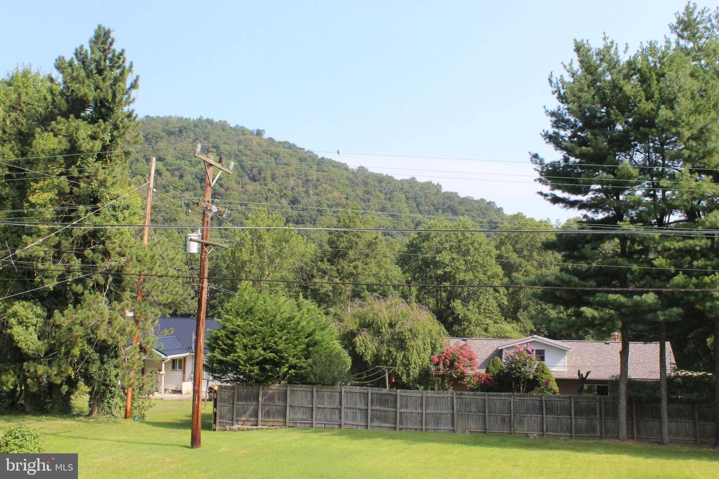 17 Richard Way photo 15