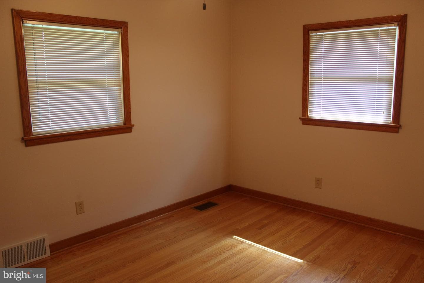 17 Richard Way photo 35