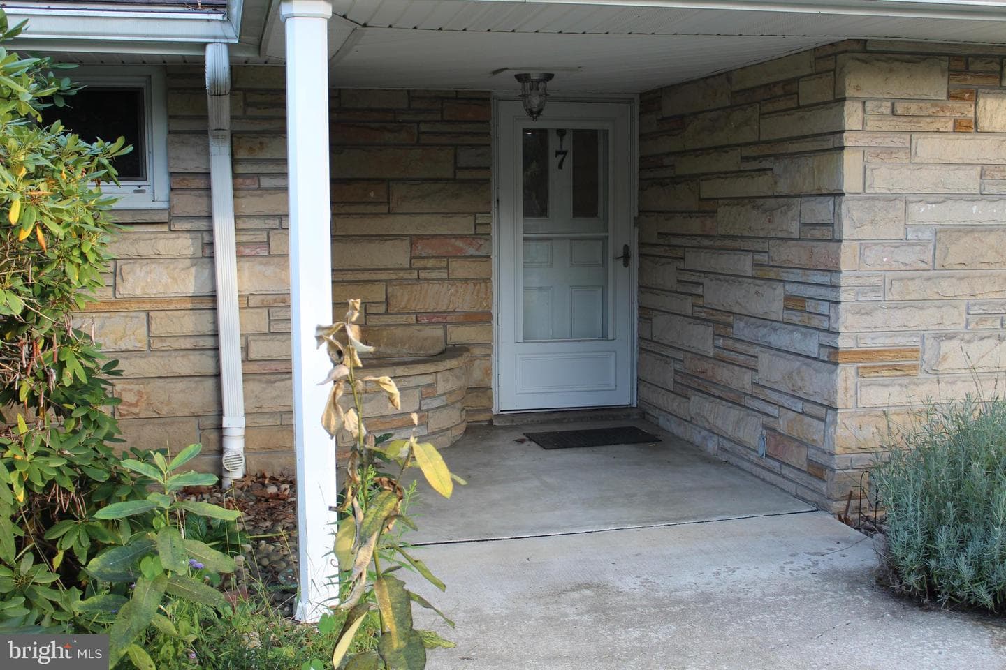 7 Forest Drive photo 10