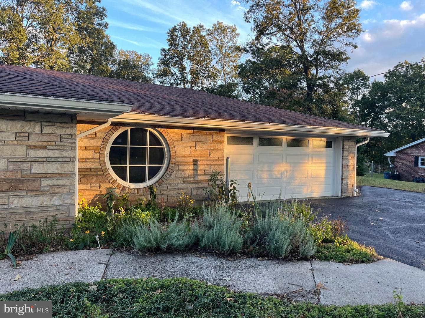 7 Forest Drive photo 11