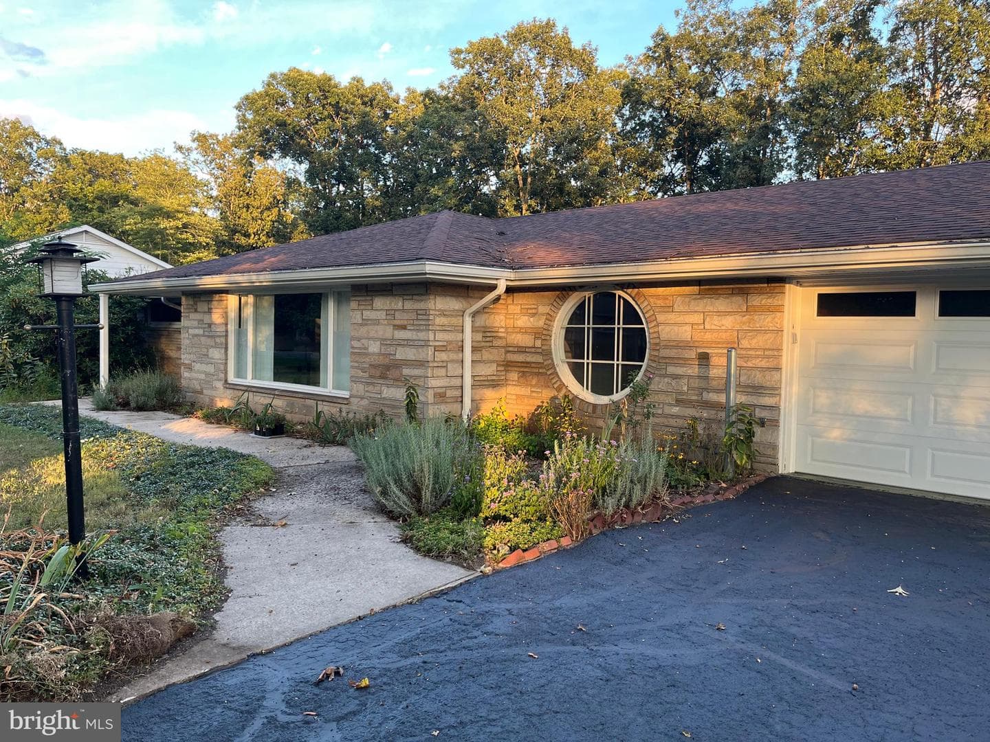 7 Forest Drive photo 12