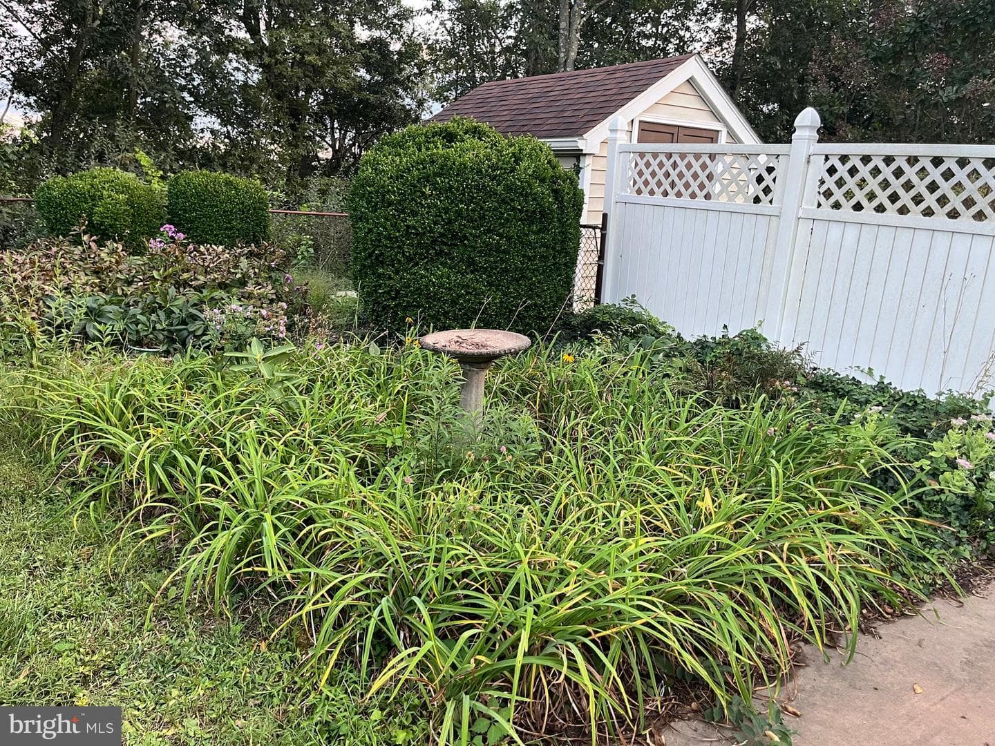 7 Forest Drive photo 18