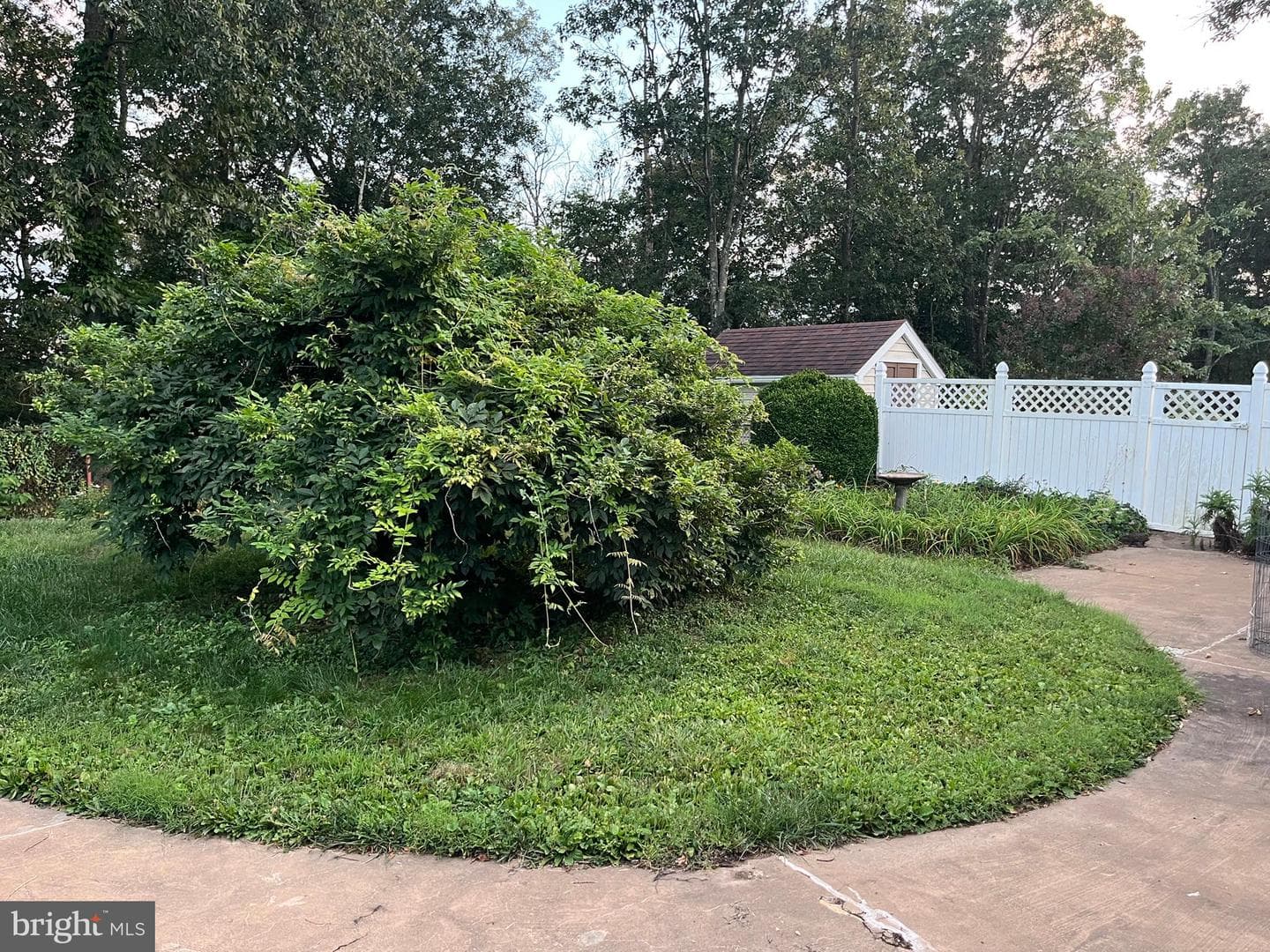 7 Forest Drive photo 19