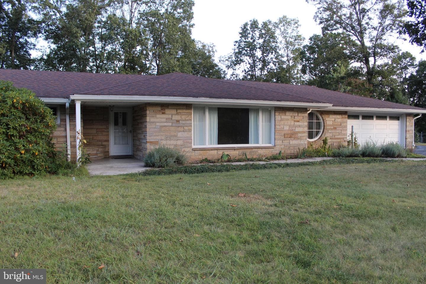 7 Forest Drive photo 2