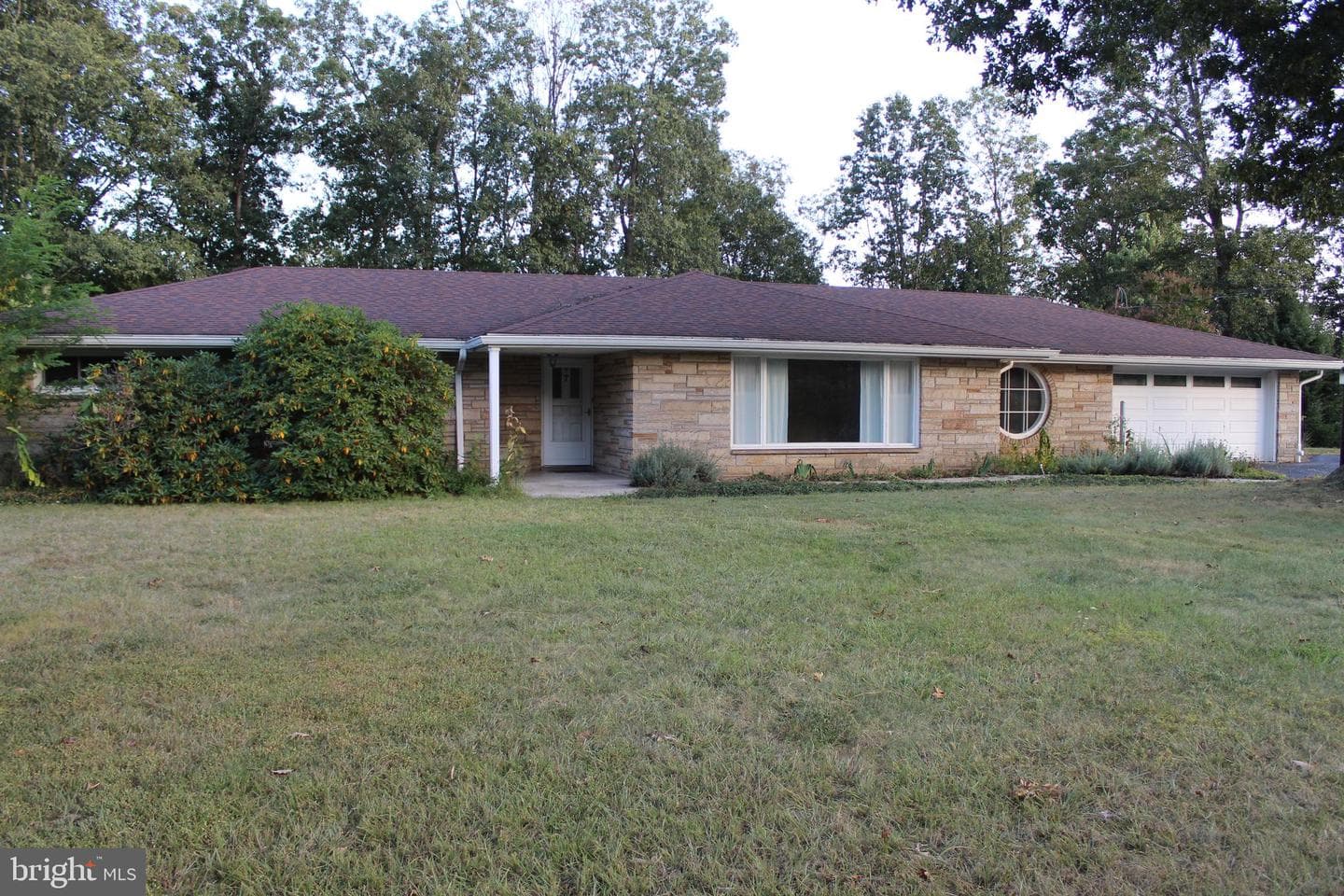 7 Forest Drive photo 3