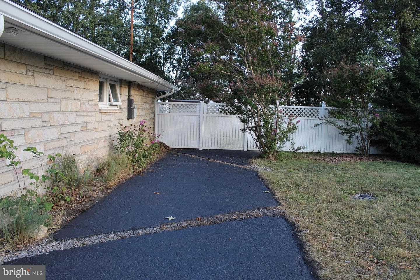 7 Forest Drive photo 6