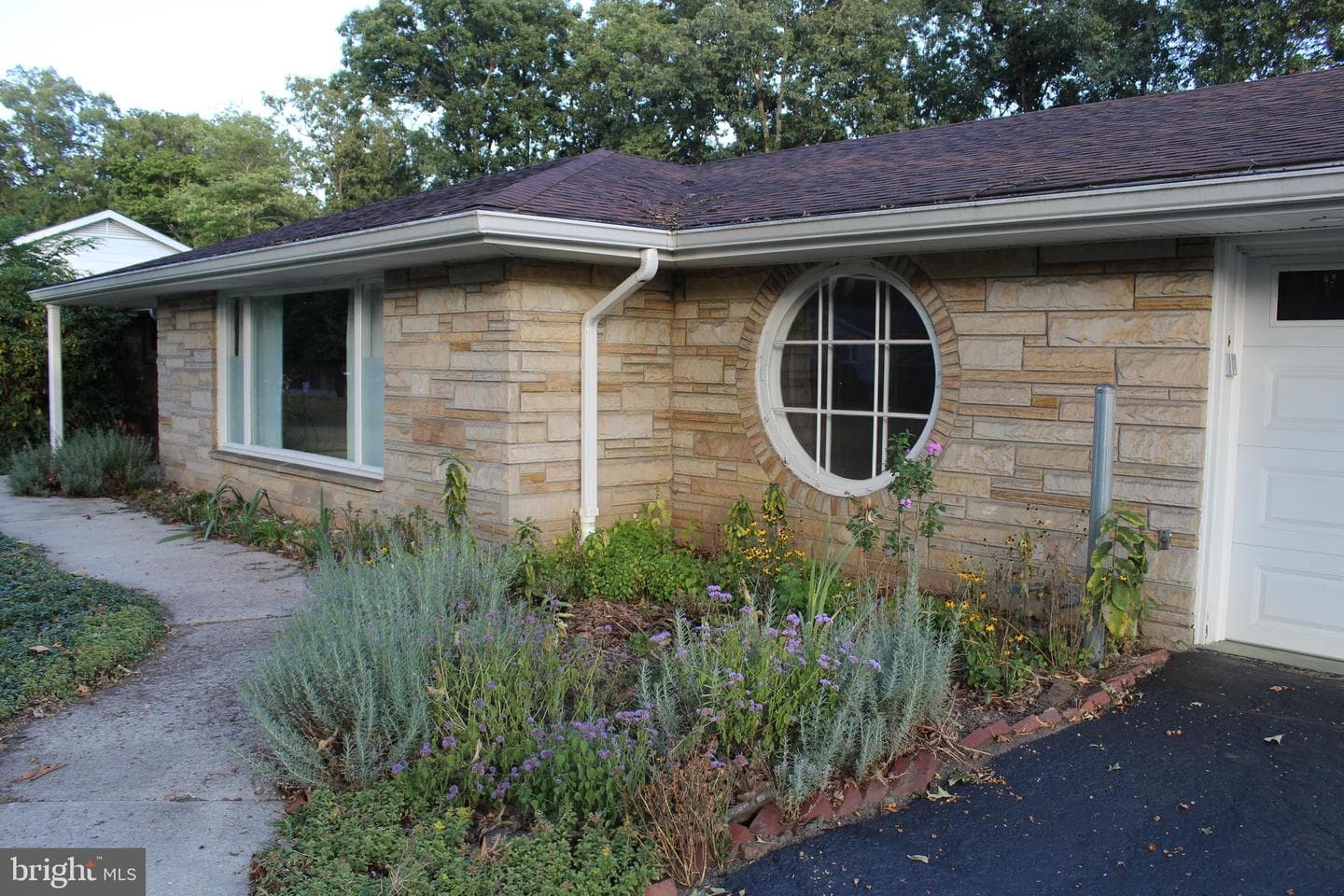7 Forest Drive photo 7