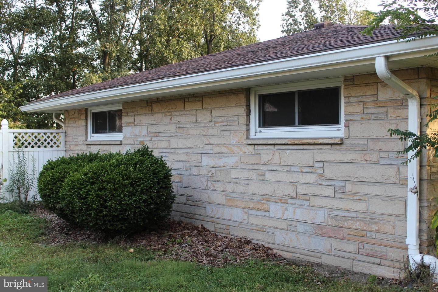 7 Forest Drive photo 8