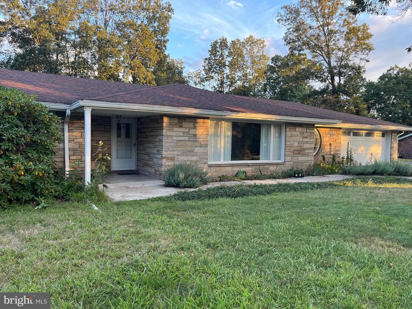7 Forest Drive photo 9