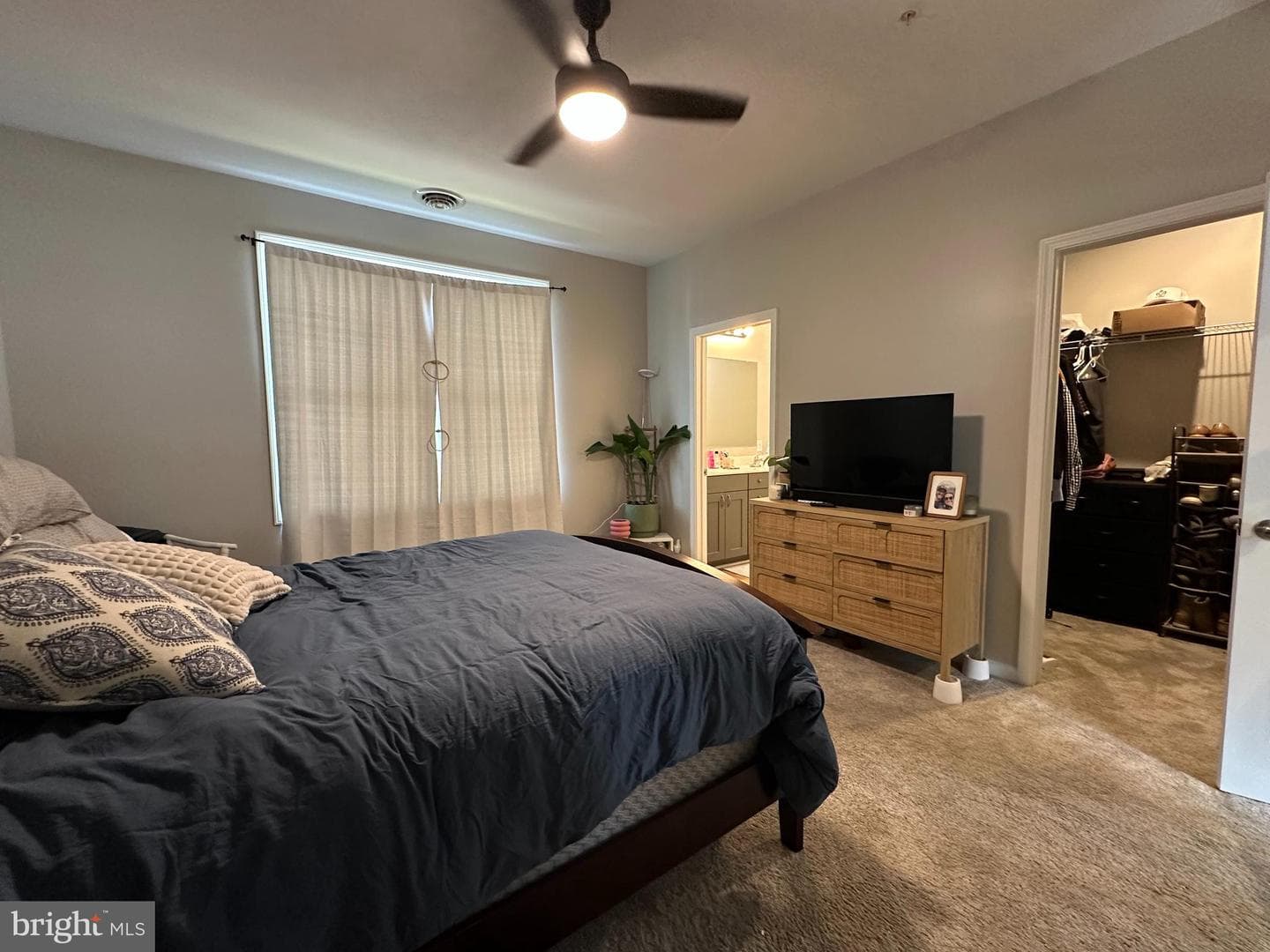 209 Moonlight Drive photo 18