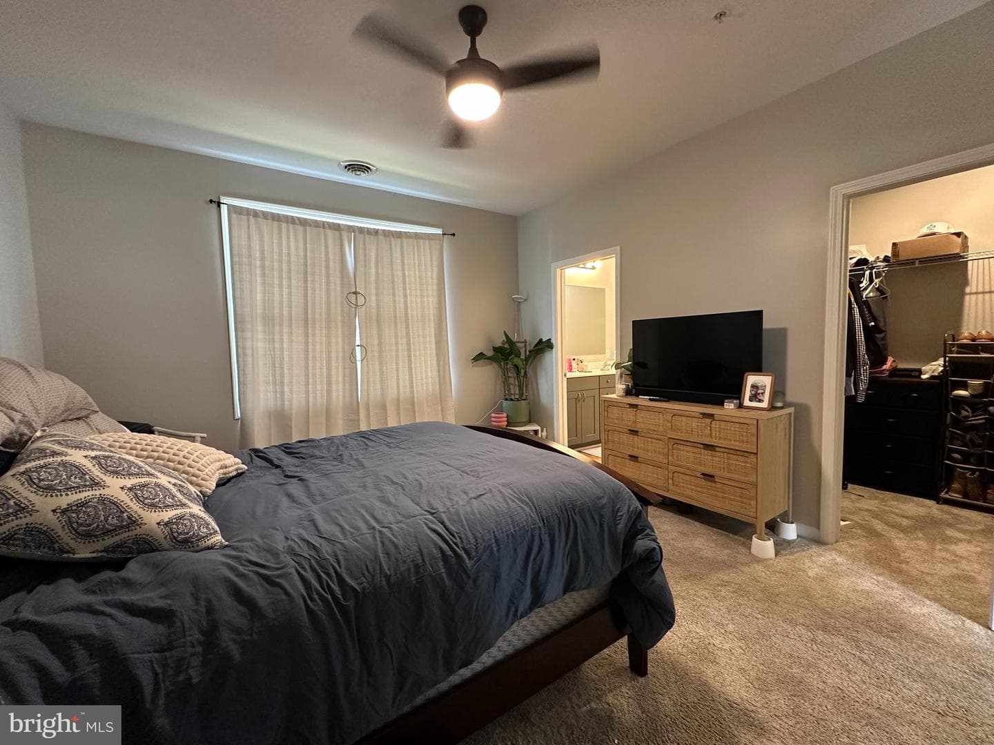 209 Moonlight Drive photo 19