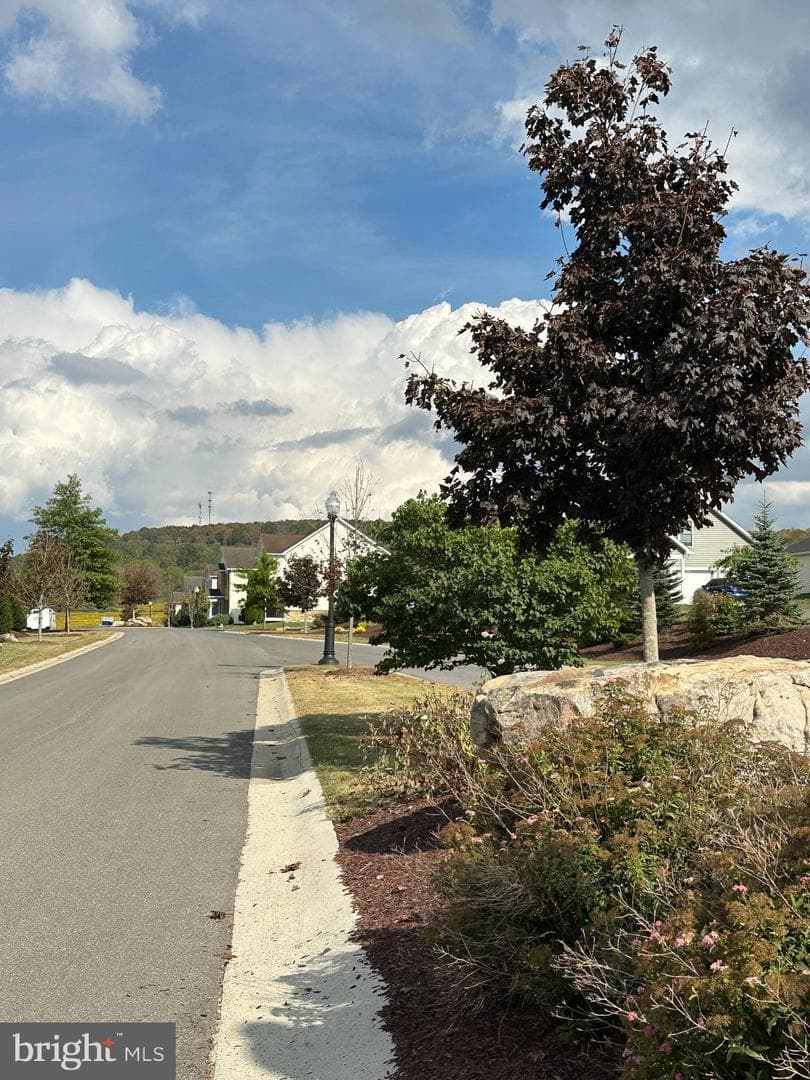 209 Moonlight Drive photo 39