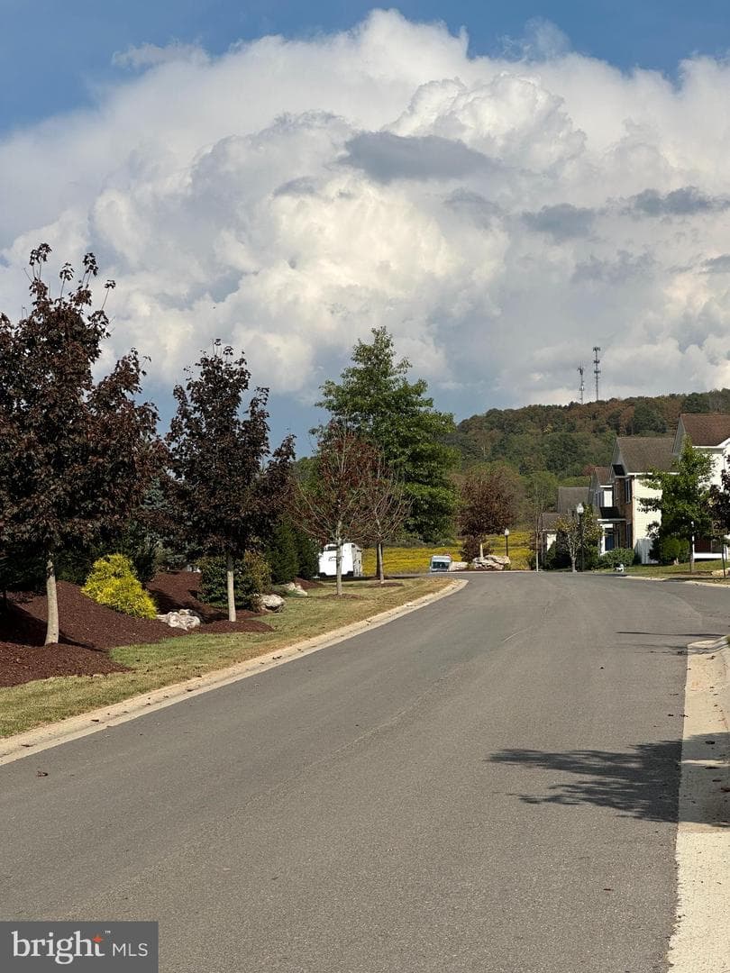 209 Moonlight Drive photo 41