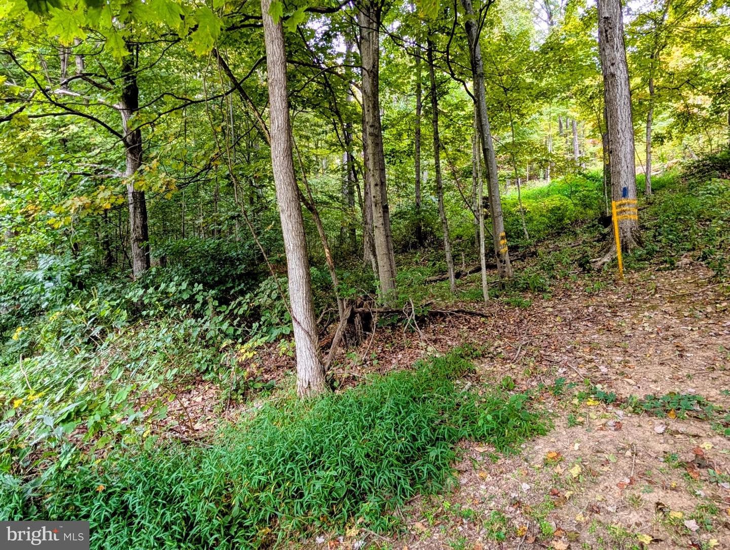 13512 Black Valley Road NE photo 38
