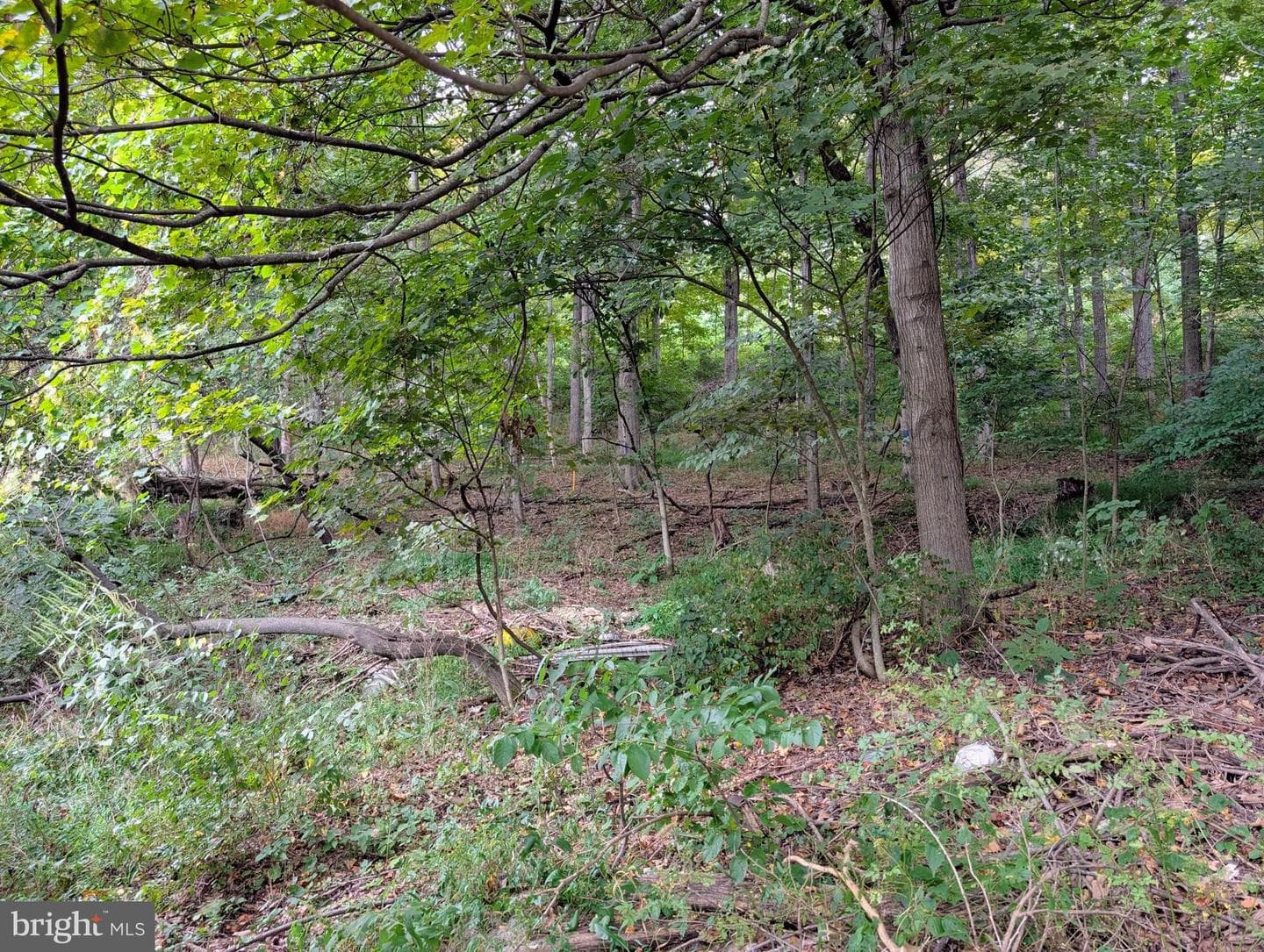 13512 Black Valley Road NE photo 45