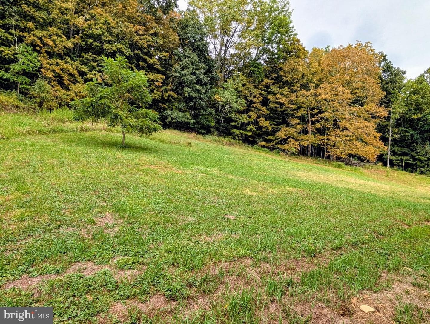 13512 Black Valley Road NE photo 46