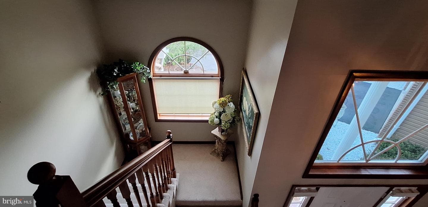 331 Francis Court photo 50