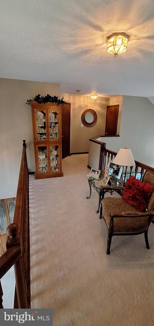 331 Francis Court photo 60