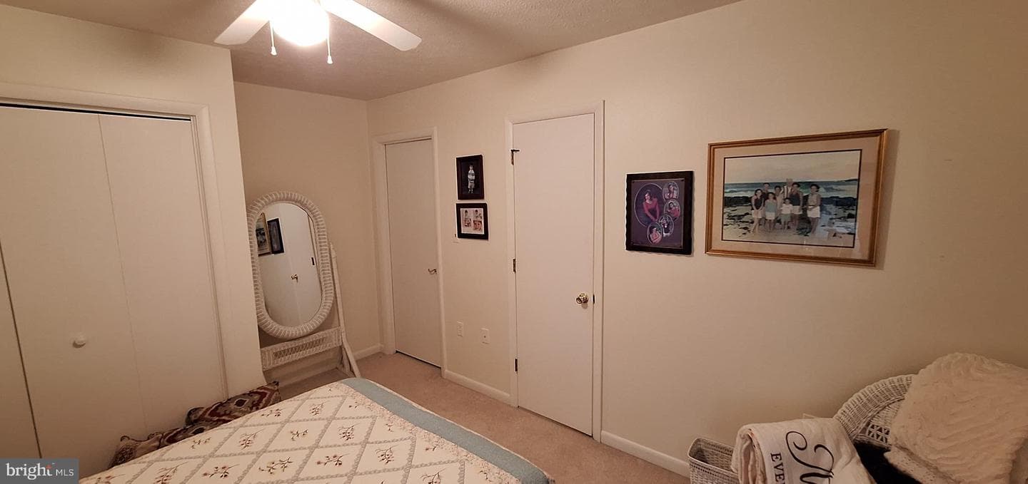 331 Francis Court photo 72