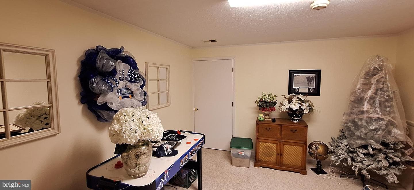 331 Francis Court photo 84