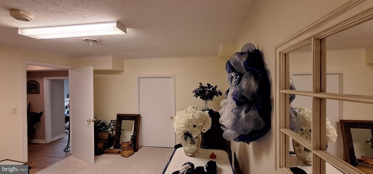 331 Francis Court photo 85