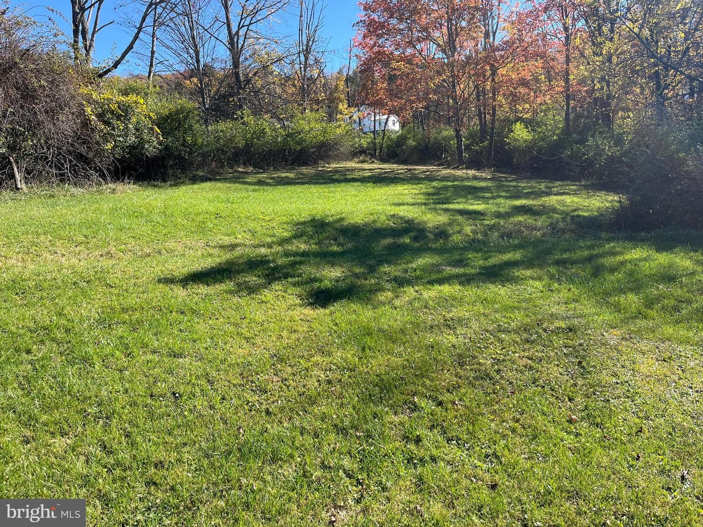 16723 Loartown Road SW photo 6