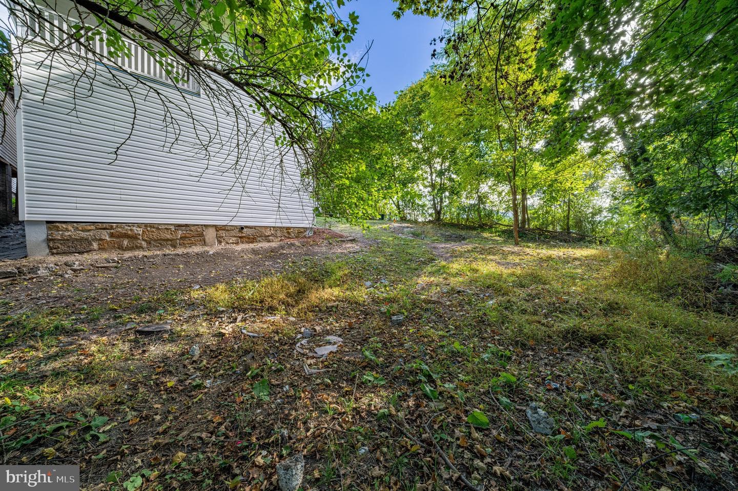 340 Davidson Street photo 13