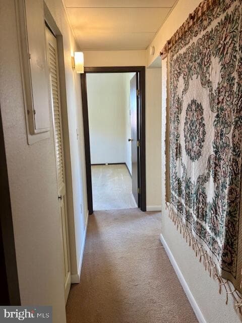 10213 Parkersburg Road photo 11