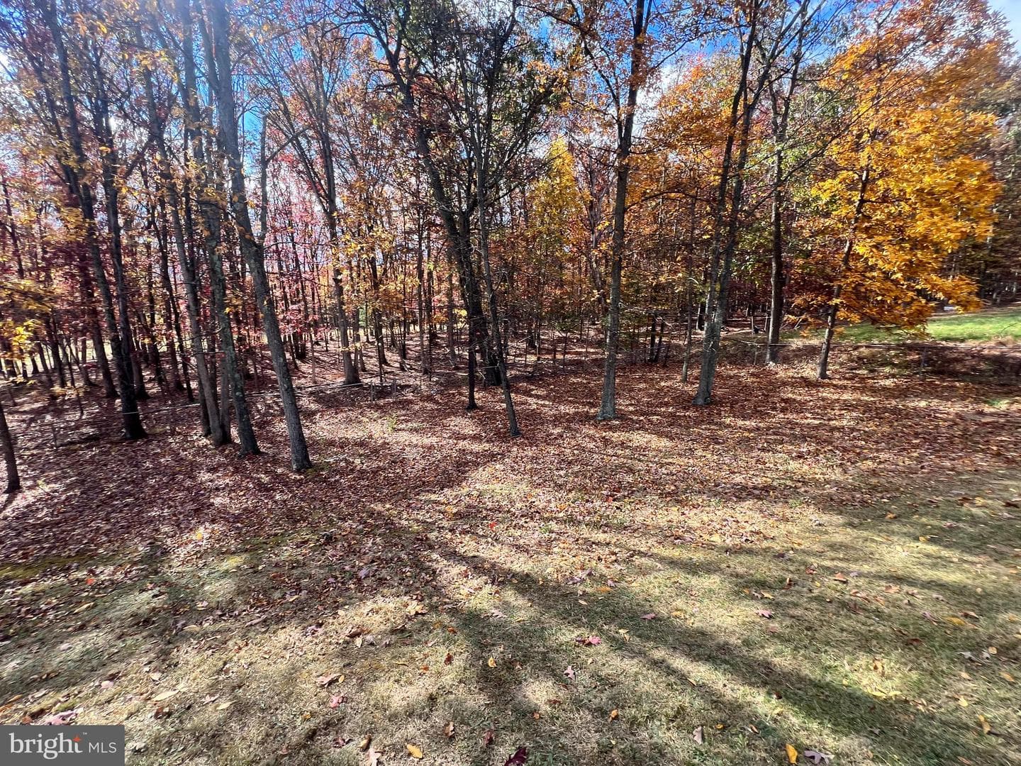 16800 Mt Club Avenue photo 3