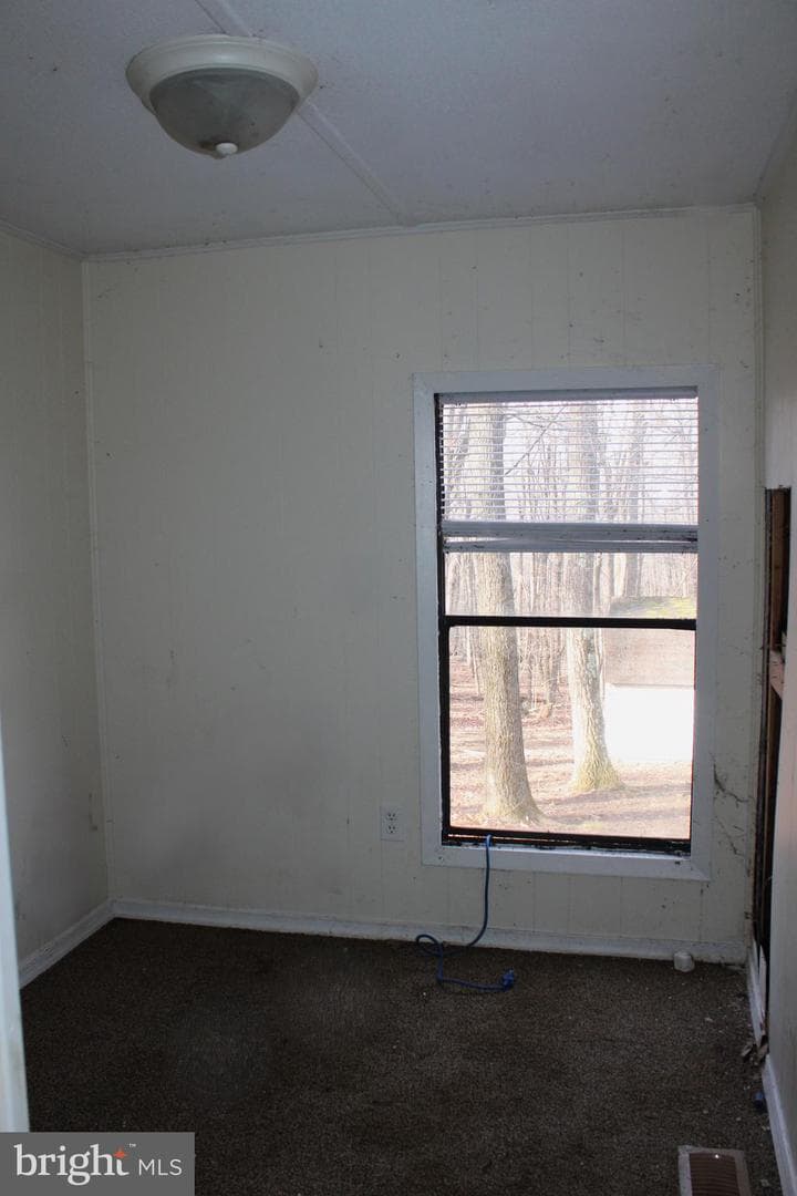 10509 Burton Park photo 17