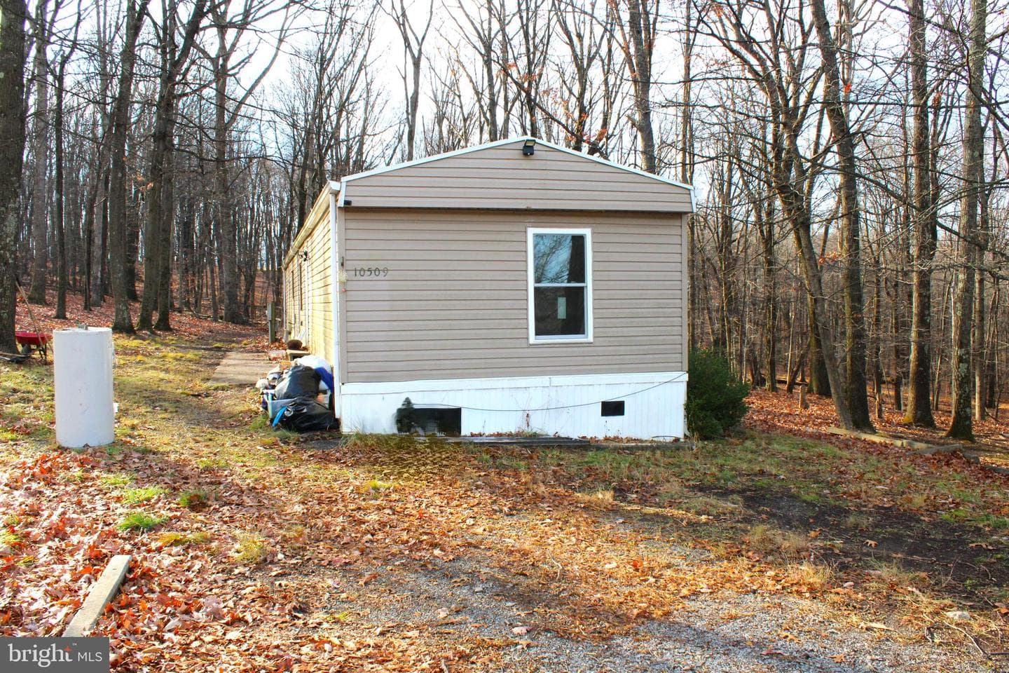 10509 Burton Park photo 2