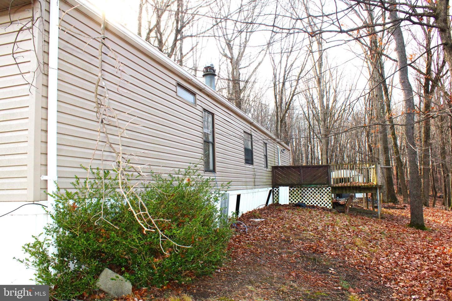 10509 Burton Park photo 3
