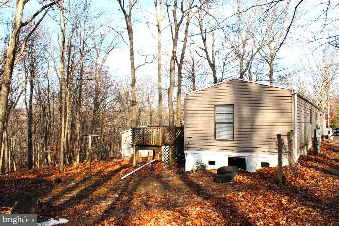 10509 Burton Park photo 5