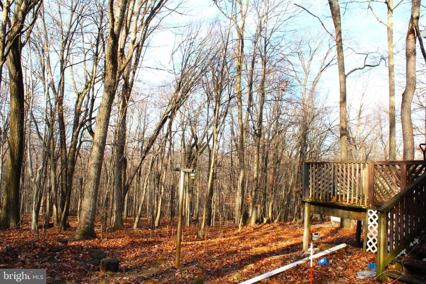 10509 Burton Park photo 6