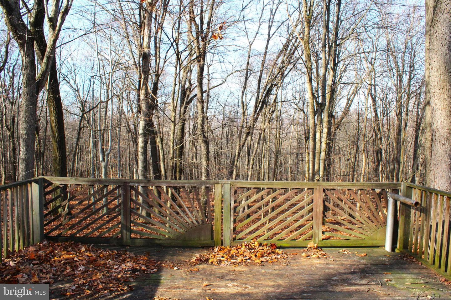 10509 Burton Park photo 8