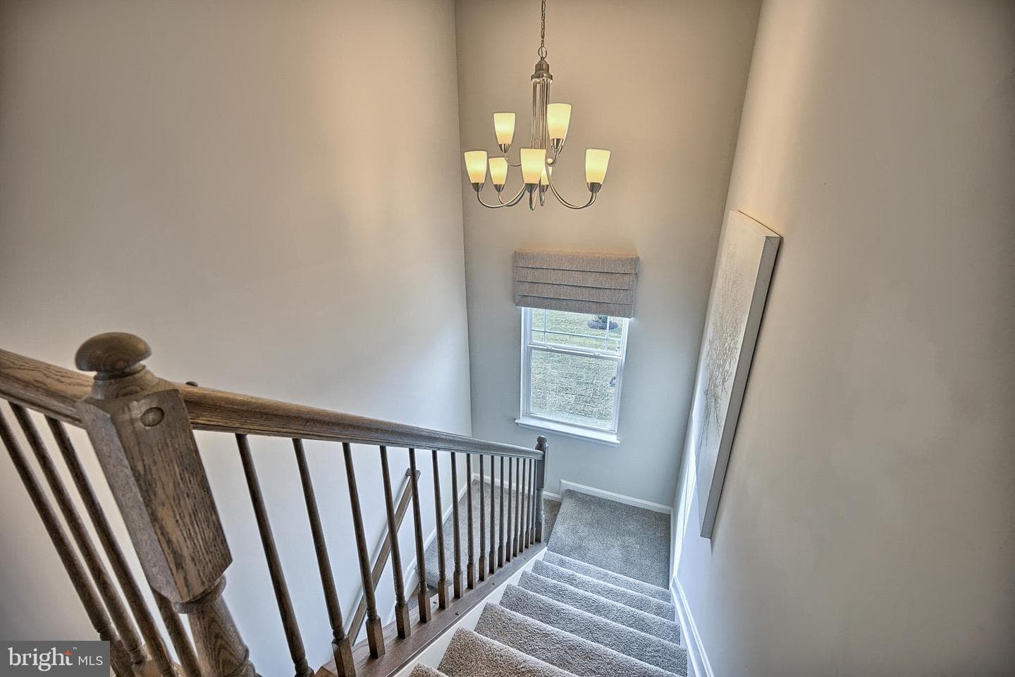 4 Cherrywood Avenue photo 26