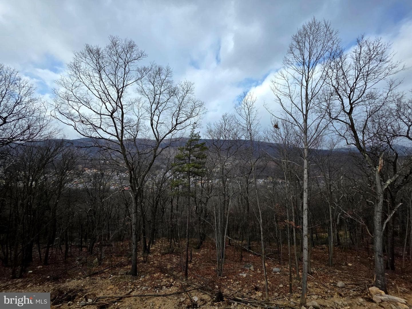 Skyview Drive W photo 43