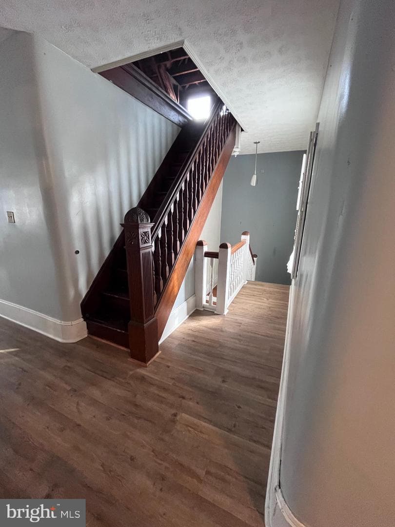 30 Frost Avenue photo 33