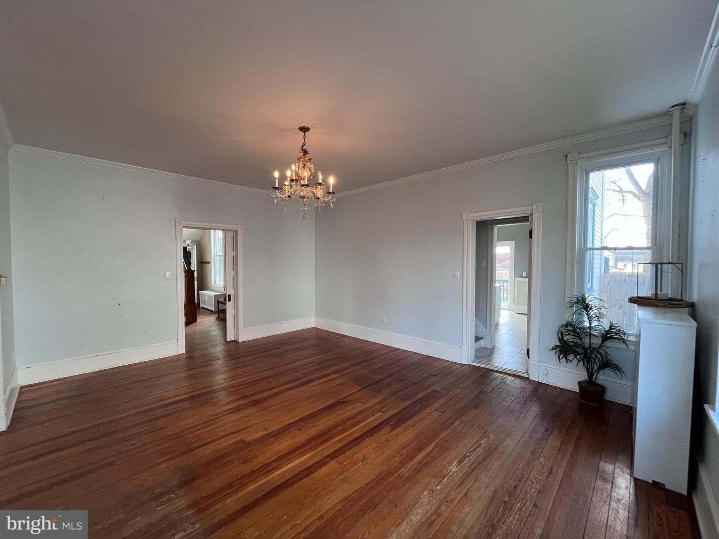 30 Frost Avenue photo 4