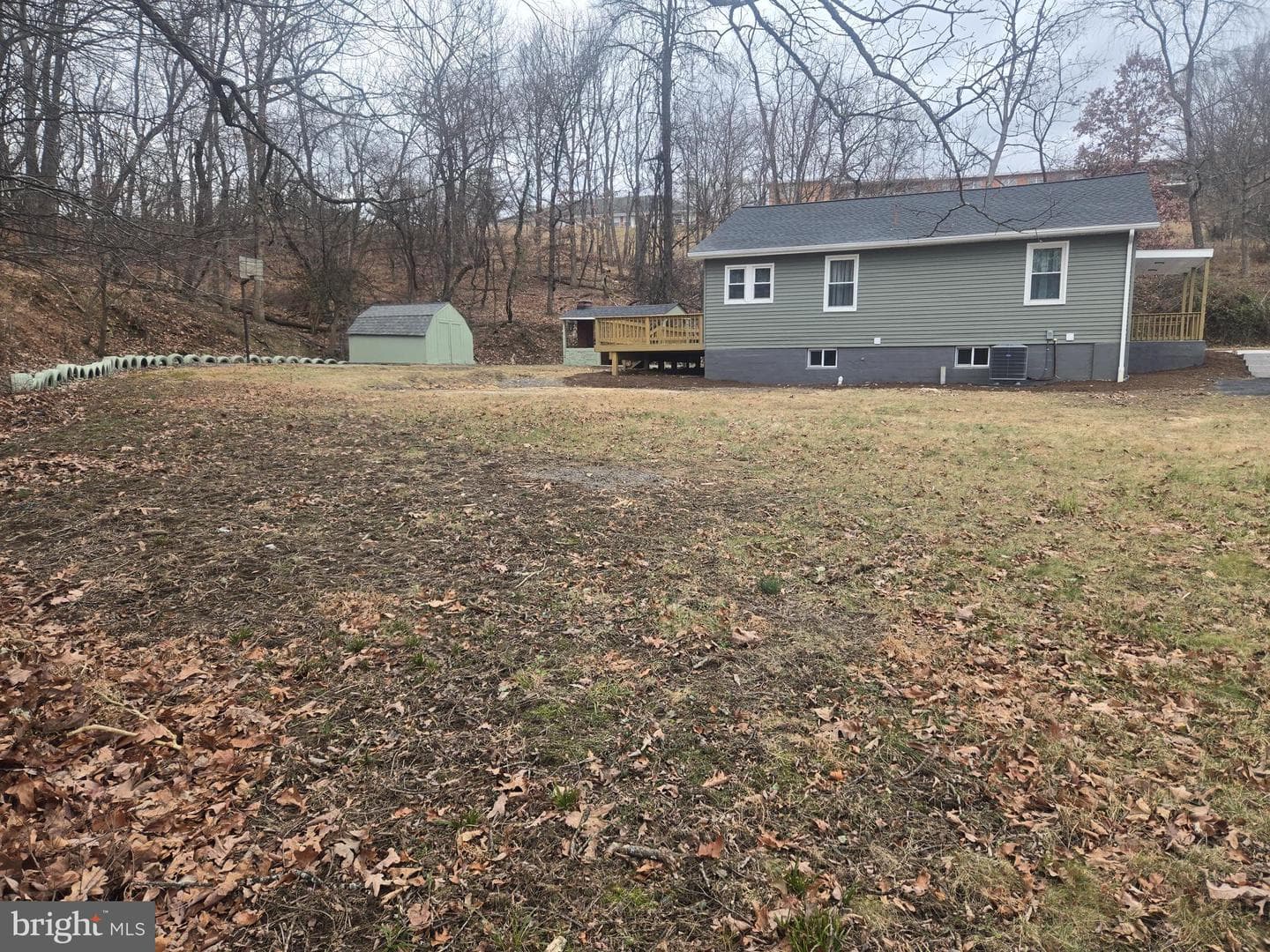 975 Williams Street photo 3