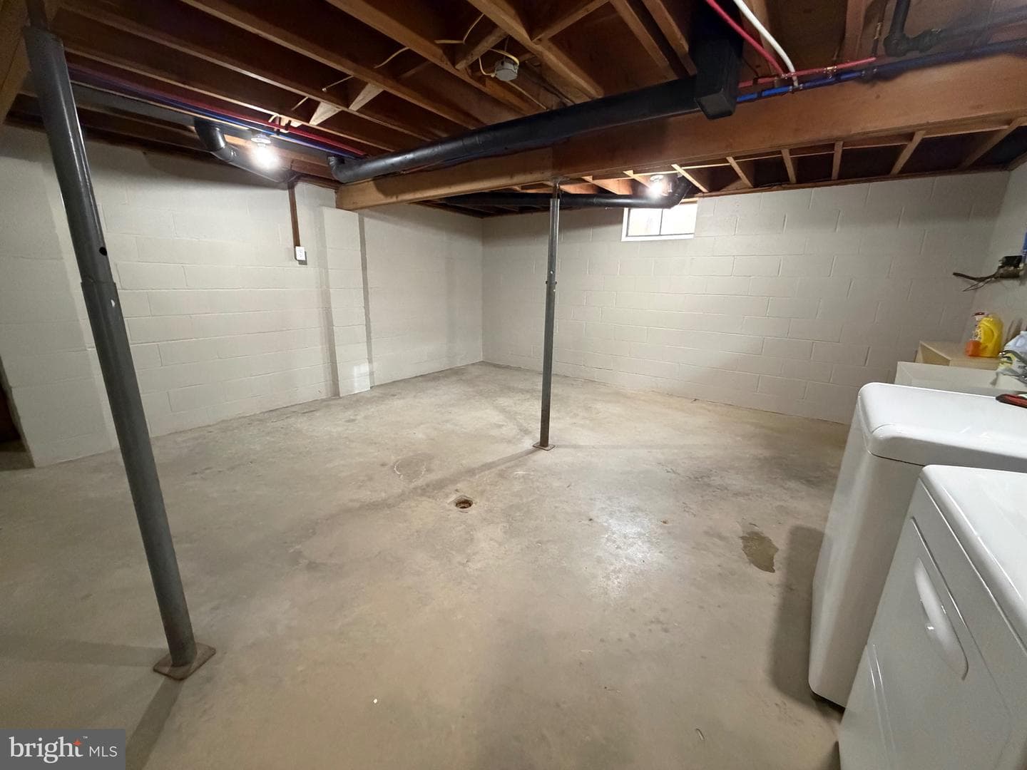 13 Warfield Place photo 38