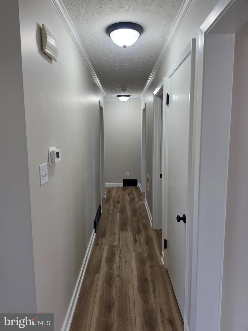 11 Linda Way photo 17