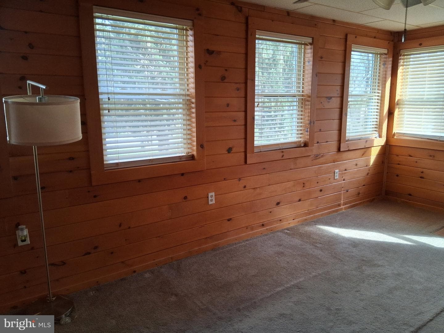256 Blackiston Avenue photo 29