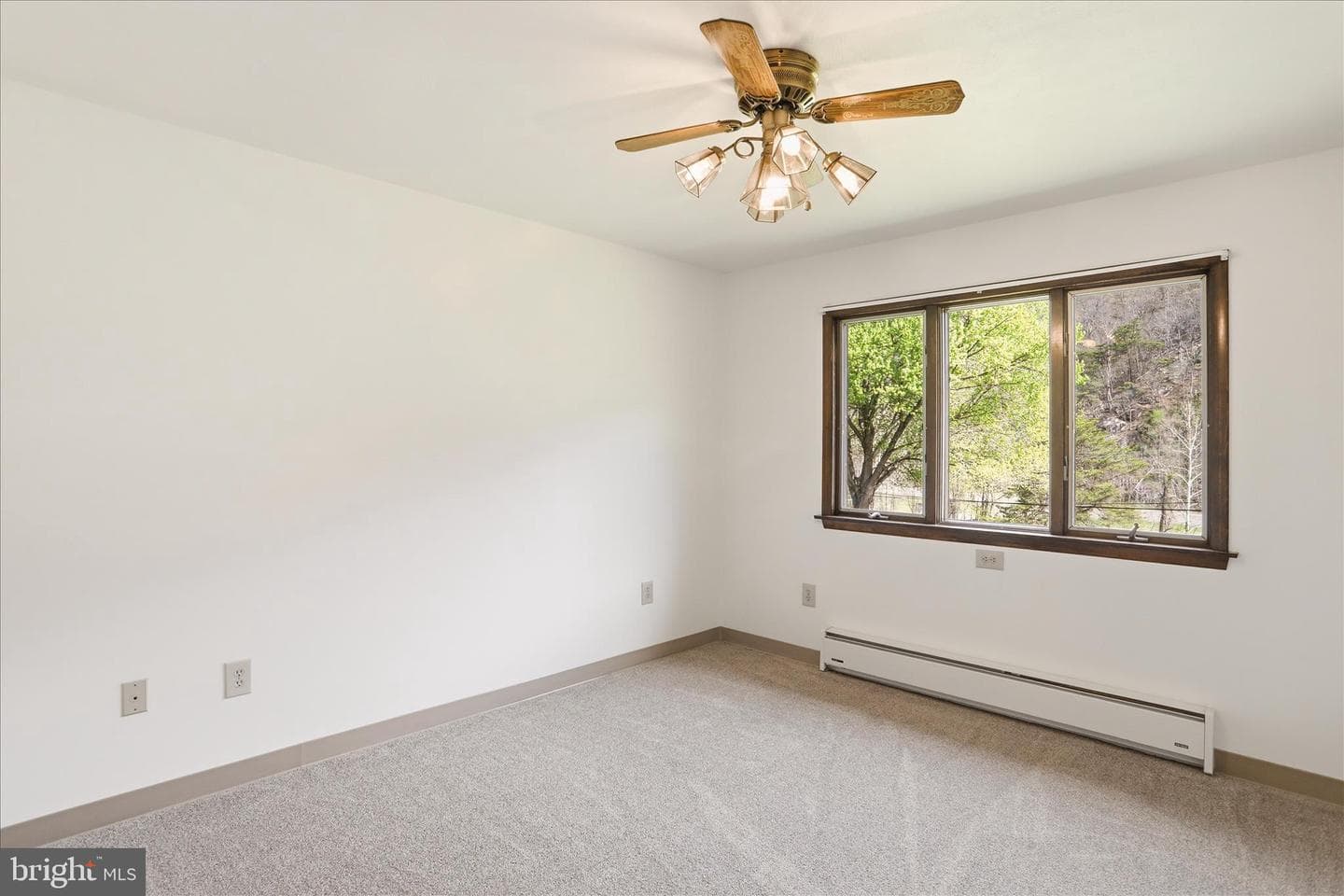 12623 Windy Ridge Drive photo 13