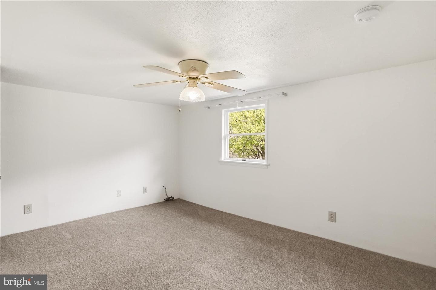 12623 Windy Ridge Drive photo 35