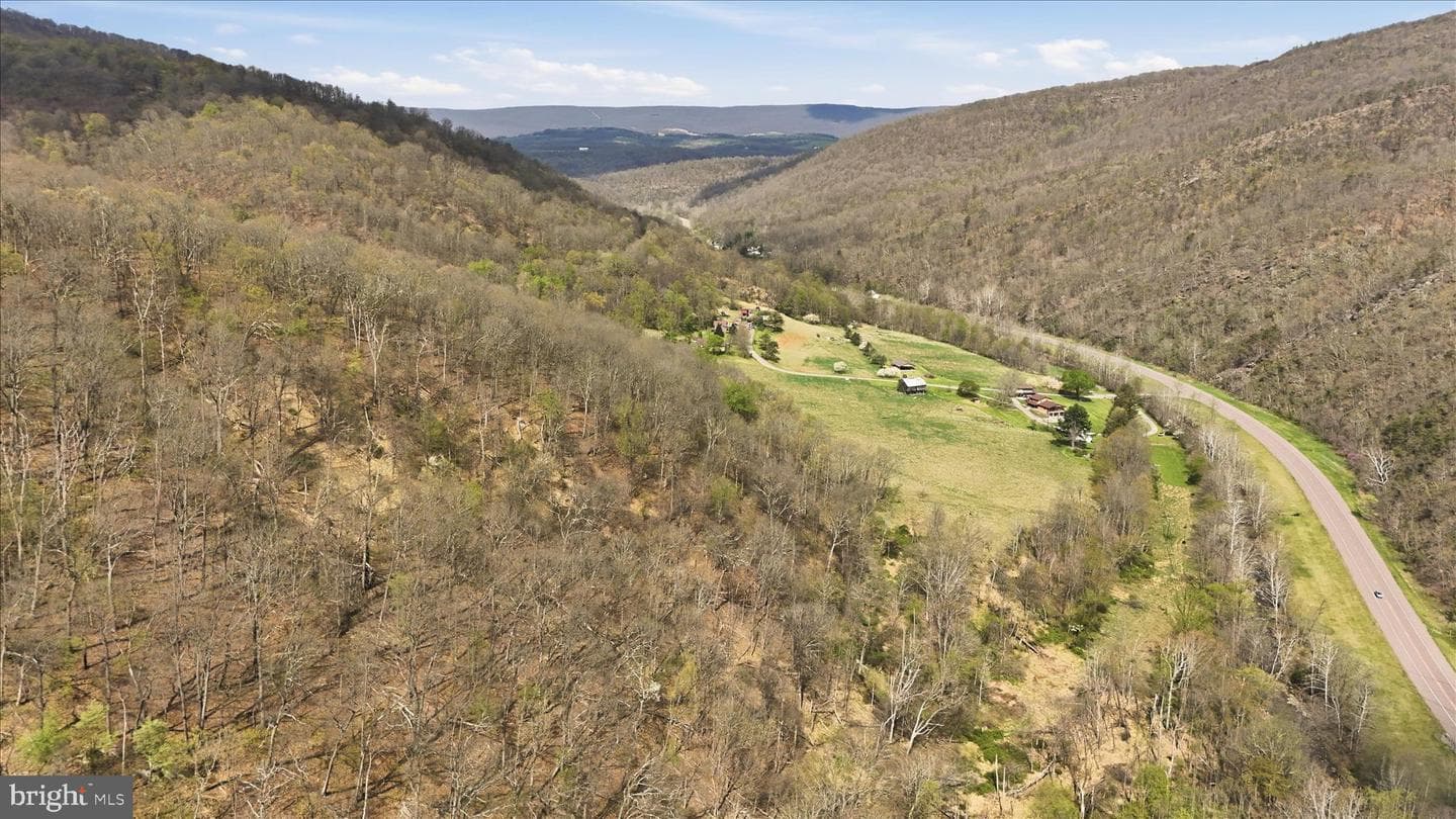 12623 Windy Ridge Drive photo 55