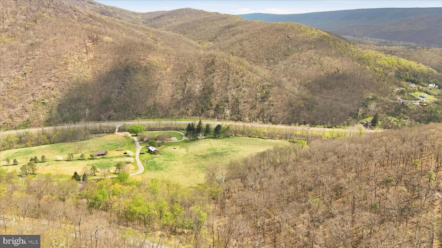 12623 Windy Ridge Drive photo 59