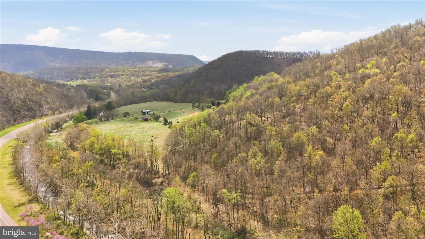 12623 Windy Ridge Drive photo 62